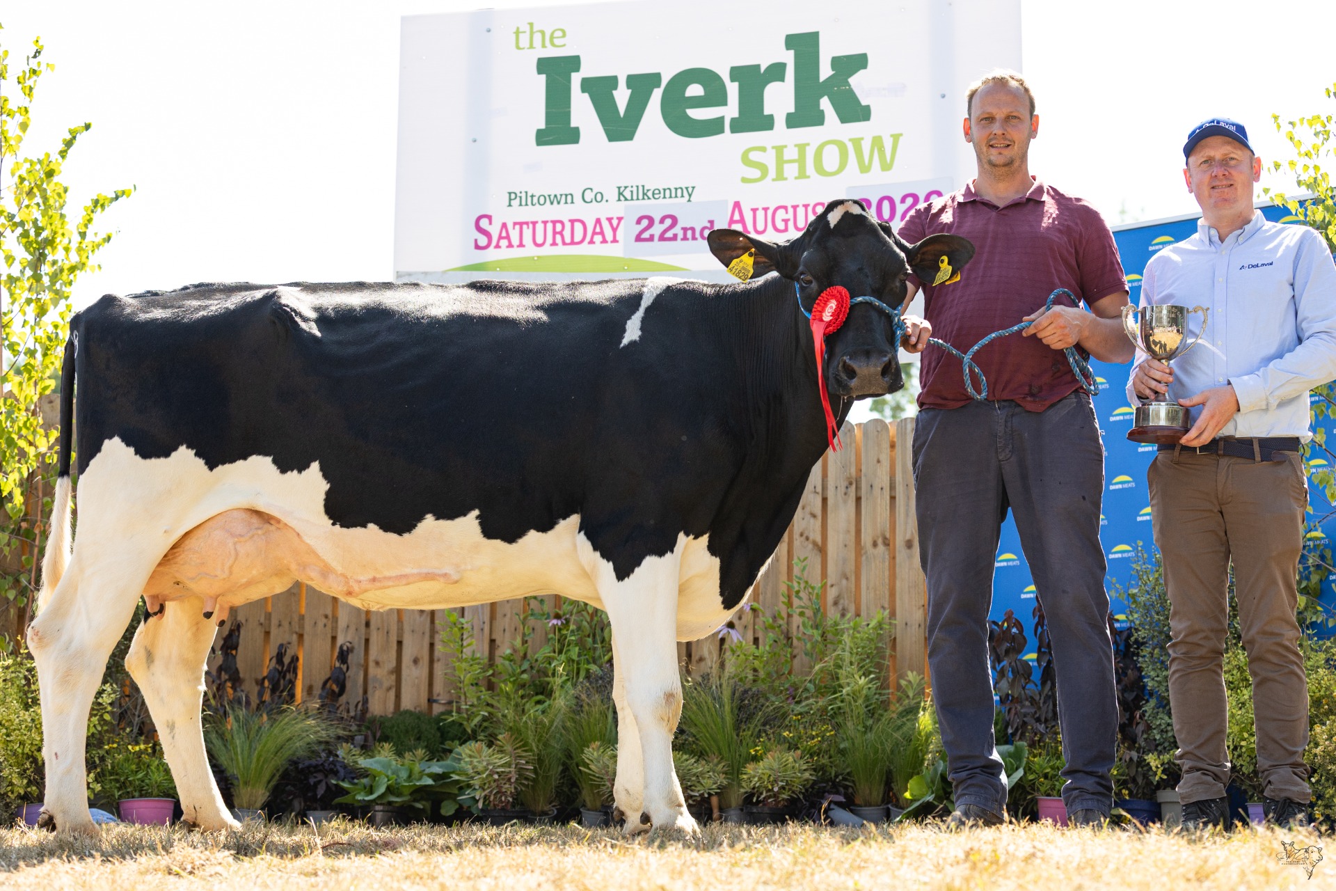 Pat Cleary, Carrickshock, winner of Senior Cow class